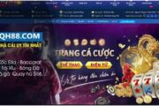 Tổng quan về QH88