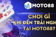 Mot88 bet là trang cờ bạc online có tiếng